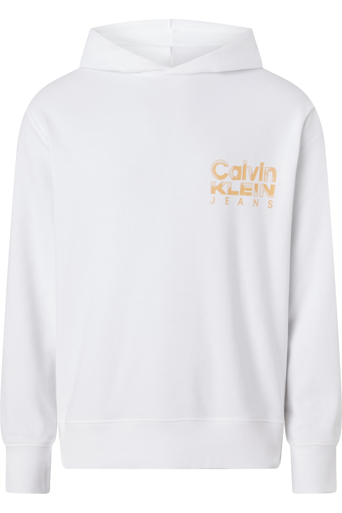 سویشرت مردانه کالوین کلاین Calvin Klein با کد J30J324219YAF