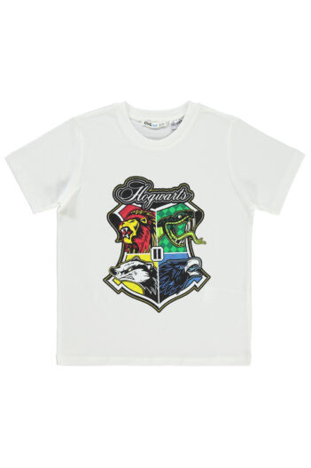 تیشرت پسرانه هری پاتر Harry Potter با کد 18973790324S1