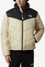 کاپشن مردانه نورث فیس The North Face با کد TYC9NO5S2N169710835482405