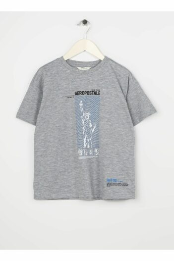 تیشرت مردانه آروپوستال Aeropostale با کد 5002979317
