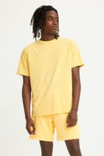 تیشرت مردانه لیوایز Levi's با کد A0637-0024