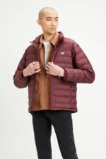 کاپشن مردانه لیوایز Levi's با کد 61TS61