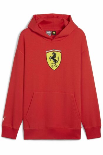 سویشرت مردانه پوما Puma با کد VSK-AST08031