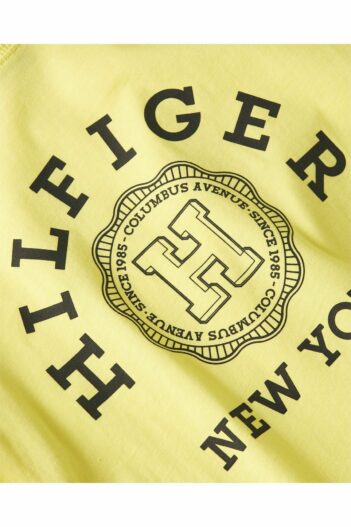 تیشرت مردانه تامی هیلفیگر Tommy Hilfiger با کد MW0MW34437